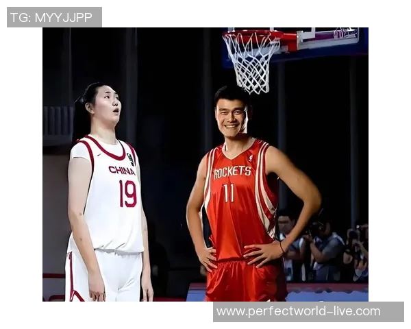 姚明与乔丹的财富之路：从篮球场到商业帝国的成功故事