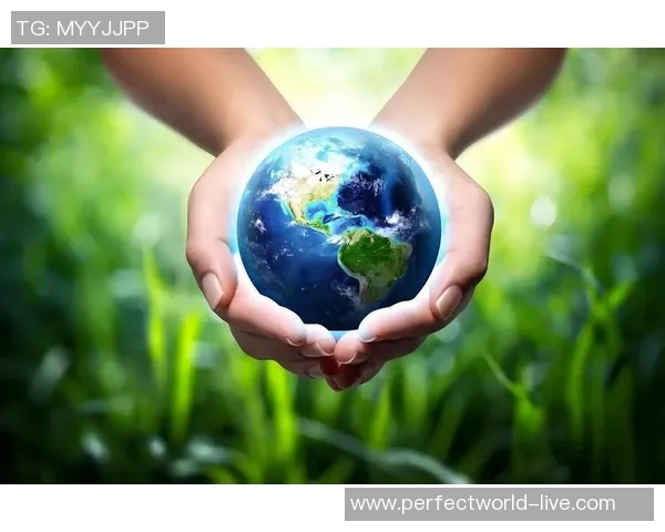 姚明携手鲸鱼传递环保理念共同守护海洋生态的感人广告