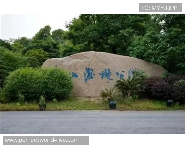 探寻宜宾姚明江的自然魅力与人文历史交融之旅