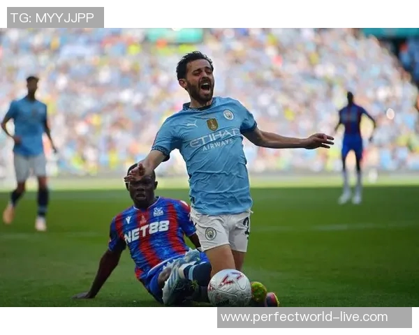 足总杯精彩对决曼城小胜里昂引发全场热烈反响