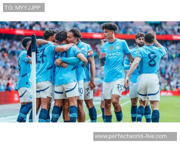 足总杯精彩对决曼城逆转里昂展现强大实力与团队配合 足总杯精彩对决曼城逆转里昂展现强大实力与团队配合